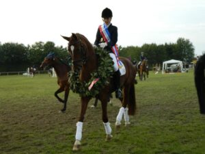 Maike Oelerich und "Suomi" sind Kreismeister 2012 in der Dressur LK 4