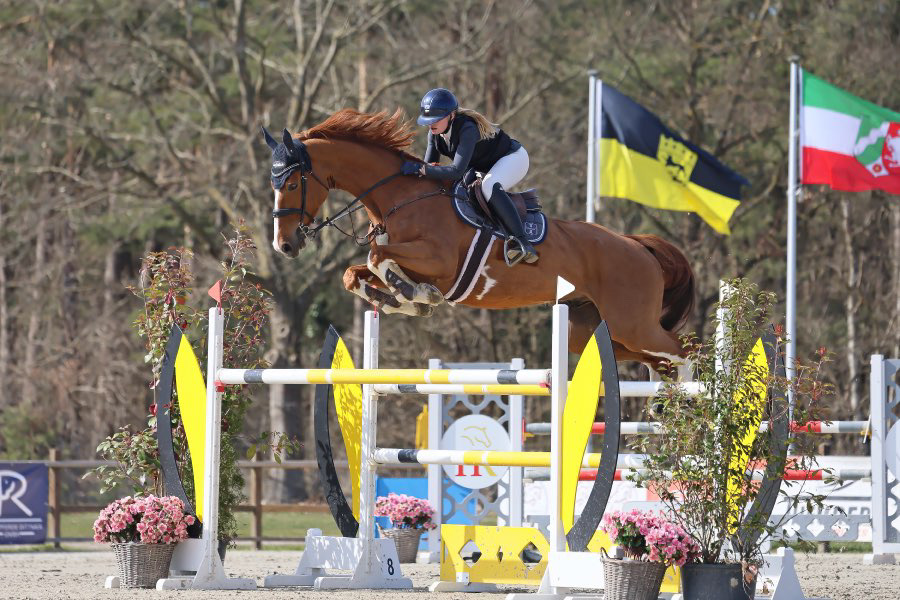 Tomma Thiesen und Rufus bleiben im S* Springen in Luhmuhlen ohne Abwurf (📷 Chrissis Pferdebilder) Tomma Thiesen und Rufus bleiben im S* Springen in Luhmuhlen ohne Abwurf (📷 Chrissis Pferdebilder)
