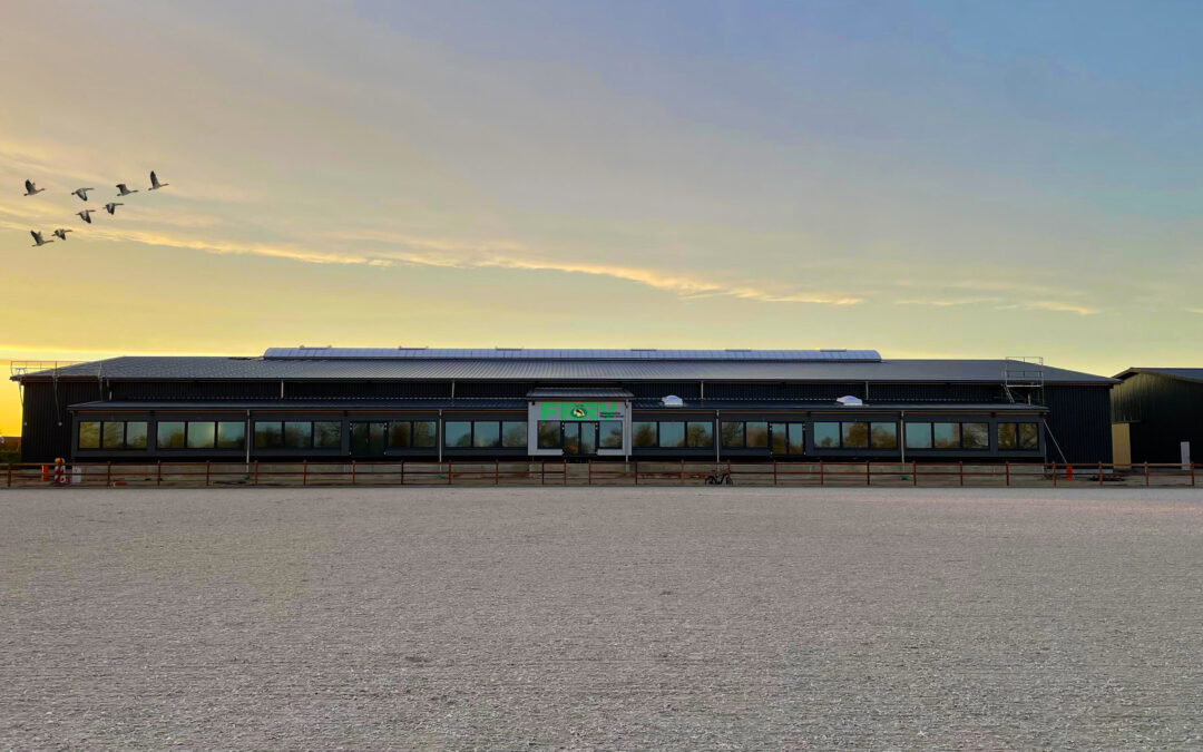 Großer Tunrierplatz des Reitsportzentrum Fehmarn