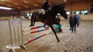 NDR Schleswig-Holstein-Magazin: Neues Reitsportzentrum auf Fehmarn wird eröffnet