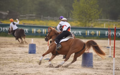 Erstes Mounted Games-Turnier auf Fehmarn vom 12. – 13. Juli 2025