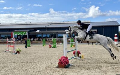 Fehmarn Turnier über drei Tage im August im Reitsportzentrum