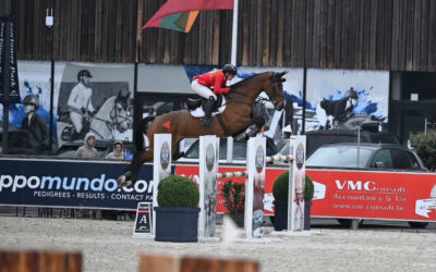 Erfolgreicher April: Tomma Thiesen springt von Sieg zu Sieg +  Erster Nationenpreis Einsatz / Premiere Ahlmann Masters / Goldene Schleifen in Ehlersdorf, Reher, …