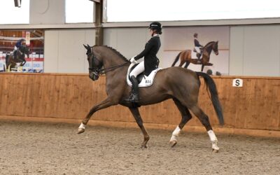 Oster-Turniere: Sieg im Holsteiner Schaufenster / S-Sieg für Cedric Becat / Comeback für Julia zur Linden