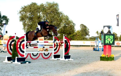Fehmarn-Pferde-Festival 2026: Spitzen-Reitsport trifft auf Inselflair